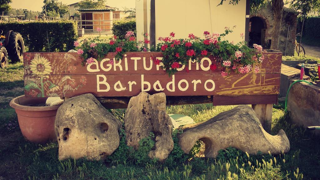 Agriturismo Barbadoro San Vincenzo Zimmer foto